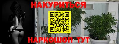 сатива Бугуруслан
