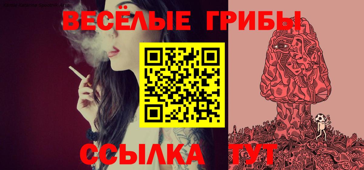 Щёкино  Псилоцибиновые грибы Psilocybine cubensis  Вход с VPN  Галлюциногенные грибы мухоморы 
